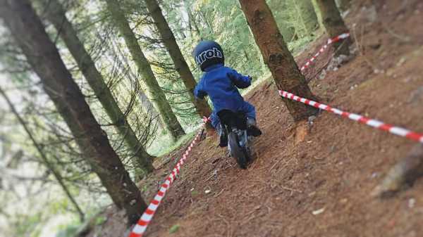 Trial Traning for kids - in sections