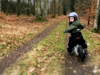 Single track Trial in the woods