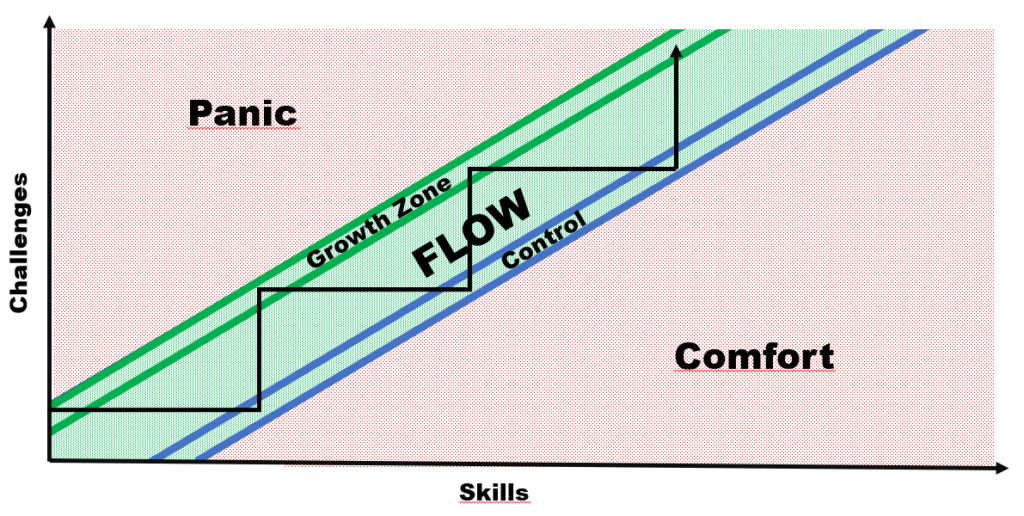 Trial Flow training in detalis